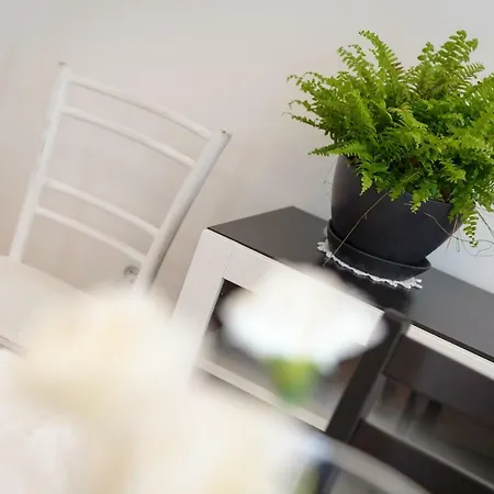 Apartment C52 Rovinj