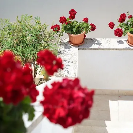 Apartment C52 Rovinj